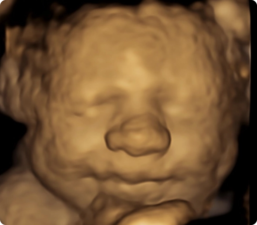 The Ultimate Works Package 1